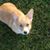 Marilyn Porter's profile image