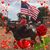 Cristine Grey's profile image
