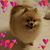 Dawn Gonzalez's profile image