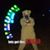 Brendie Freyermuth's profile image