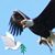 Wanda Clayton's profile image