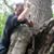 Ronney Phillips's profile image
