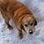 Lynn Staab's profile image