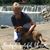 Sheila Singer's profile image