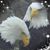 Corrine Moonlyte Camarillo's profile image