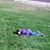 Jessica D. Garcia's profile image