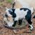 Tina Lynn Lovett's profile image