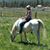 Tamera Hanson's profile image