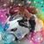 Evelyn Merced's profile image