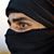 Hamed Hashash's profile image