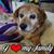 Shannon McCann's profile image