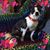Peggy Carey's profile image
