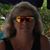 Theresa Maney's profile image
