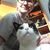 Karissa Thornley's profile image
