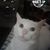 Sandra A Beck's profile image