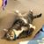 Denise Atkins Smith's profile image