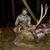 Tristin Bristol's profile image