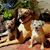 Nancy Adkins's profile image
