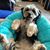 Kathi Sylvester Butterbaugh's profile image