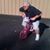 E Dewayne Marsh's profile image