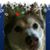 Holly Cunningham's profile image