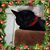 Kimberley Leduc Padron's profile image