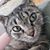 Jody Erickson's profile image