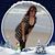 Donna Marinelli's profile image