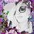 Mary Cinotti's profile image