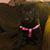 Tony Havens's profile image