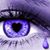 Ellenor Vandenende's profile image