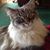 Lonna Schwalm's profile image