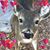 Joanne Sciapiti Krogen's profile image