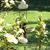 Debbie Benefield King's profile image