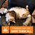 Cynthia Felipe's profile image