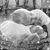 Marilyn Maurizzi's profile image