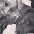 Diana Plisic's profile image