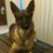 Vicki Schweer's profile image