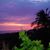 Susie Weller Tweeddale's profile image