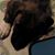 Kathy Oconnell's profile image