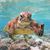 Steven Berlett's profile image
