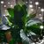 Debbie Christian's profile image