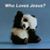 Bill Weikel's profile image