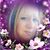 Dorene Lefebvre-Kohol's profile image