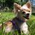 Darla Hyatt's profile image