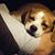Cathy Tillman's profile image