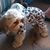 Donna Gangloff's profile image