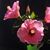 Judy Richert Smith's profile image