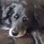 Scott Abbey's profile image