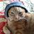 Karen Bergamo Moore's profile image